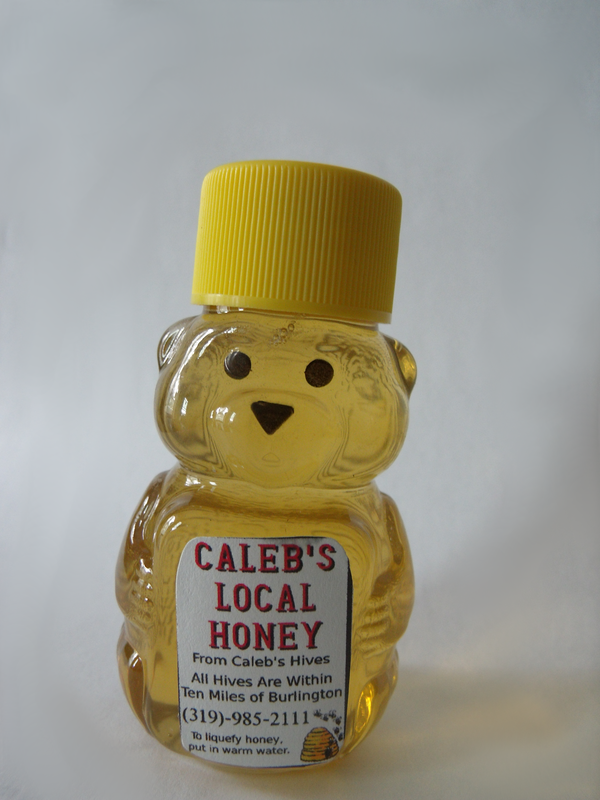 Picture of a Baby Honey Bear