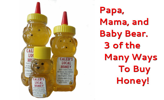 Papa, Mama, and Baby Bear. Three of the many ways to buy honey!