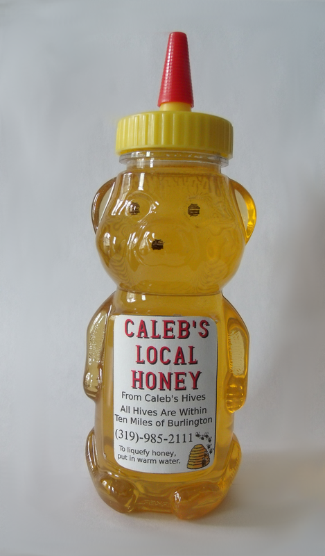 Picture of a Papa Honey Bear